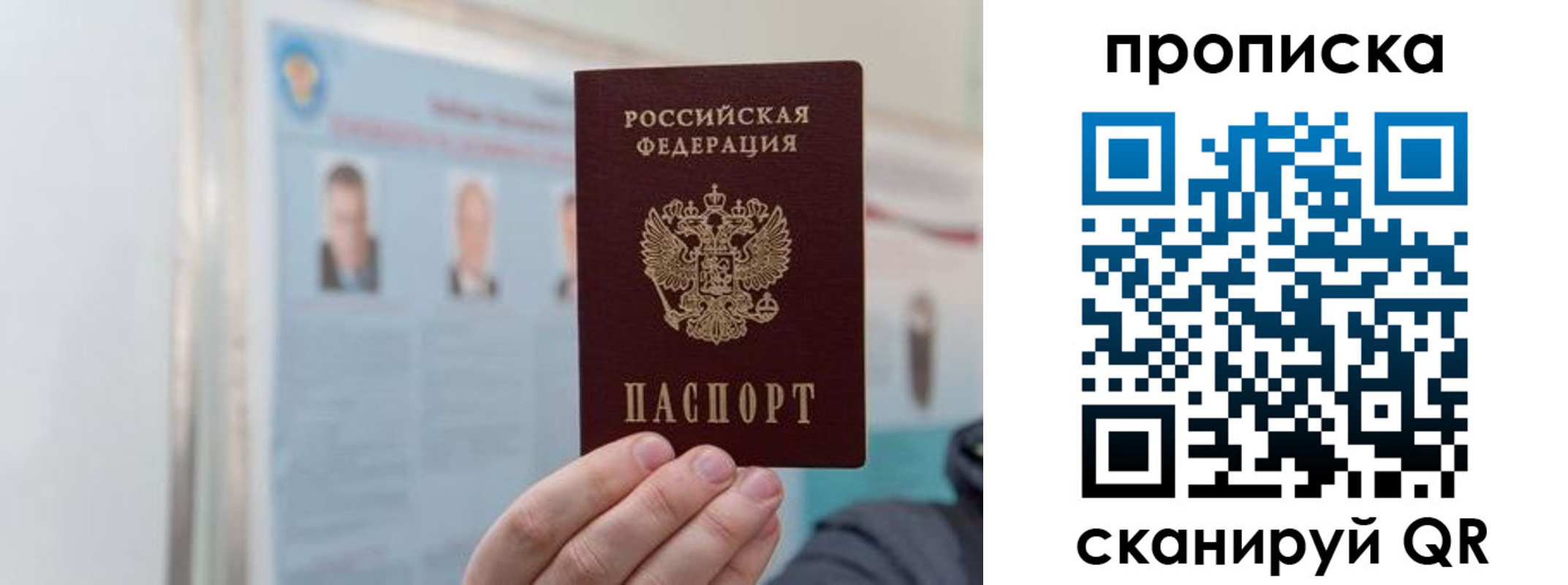 прописка 2025 в Курганинске